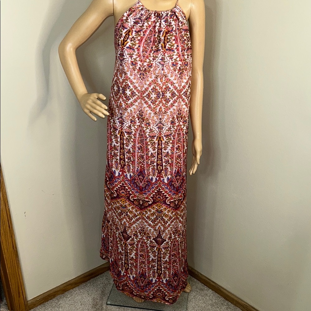 Banana Republic Vibrant Pink and Red Maxi Dress